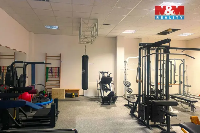 Prodej bytu 4+kk, Liberec - Liberec III-Jeřáb, Americká, 103 m2