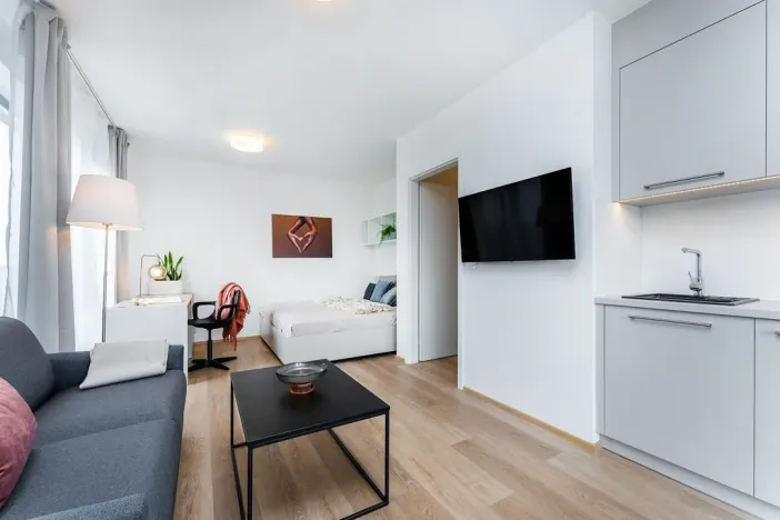 Pronájem bytu 1+kk, Plzeň - Skvrňany, Františka Kováříka, 39 m2