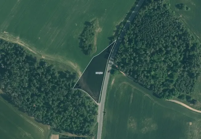 Prodej pole, Velký Bor, 45700 m2