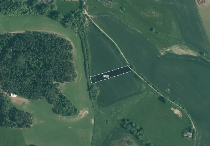 Prodej pole, Velký Bor, 45700 m2