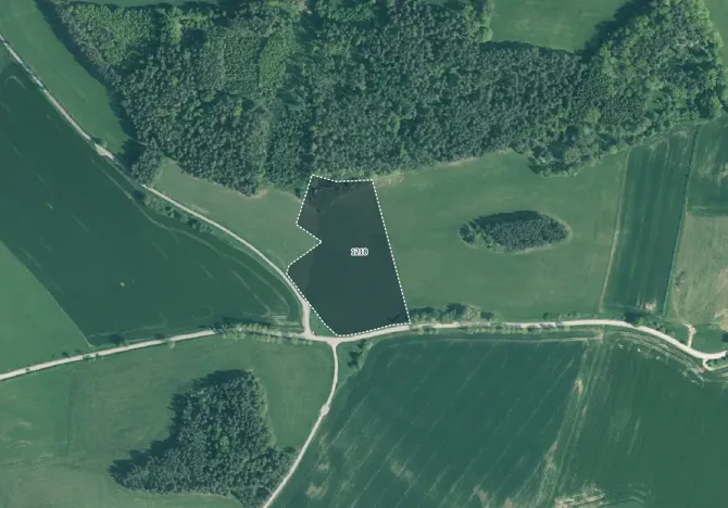 Prodej louky, Kuřimany, 10066 m2