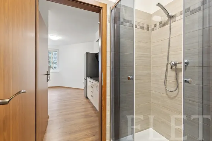 Pronájem bytu 1+kk, Praha - Hloubětín, Kukelská, 20 m2