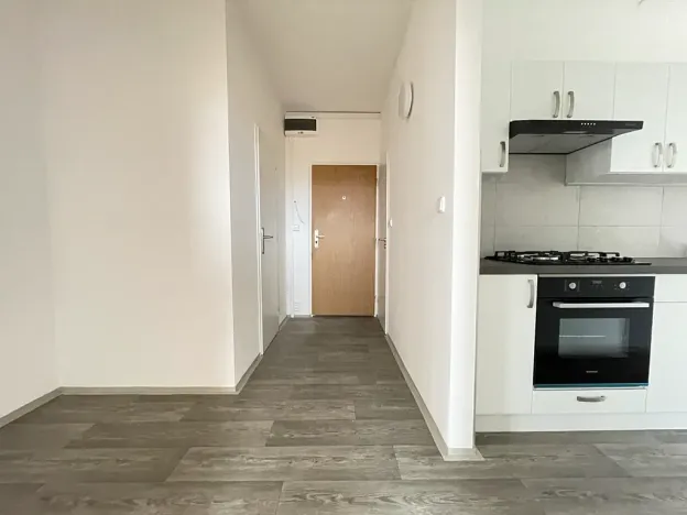 Pronájem bytu 3+1, Litvínov, Čapkova, 66 m2