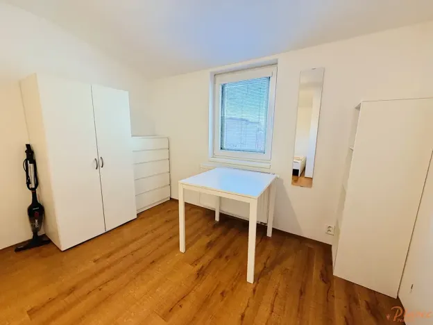 Pronájem bytu 1+kk, Praha - Suchdol, Nad dolíky, 16 m2