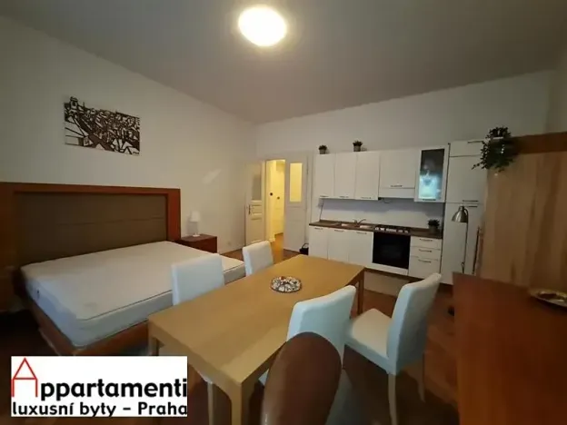 Prodej apartmánu, Praha - Staré Město, Masná, 170 m2