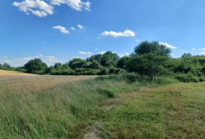 Dražba pozemku, Česká Lípa, 10090 m2