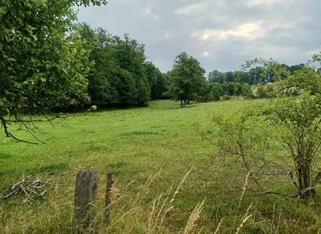 Dražba pozemku, Nový Bor, 1772 m2