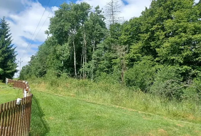 Dražba pozemku, Chlum, 12440 m2