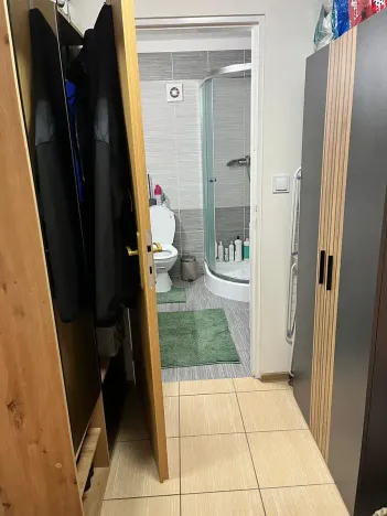 Pronájem bytu 1+1, Praha - Chodov, Švabinského, 37 m2