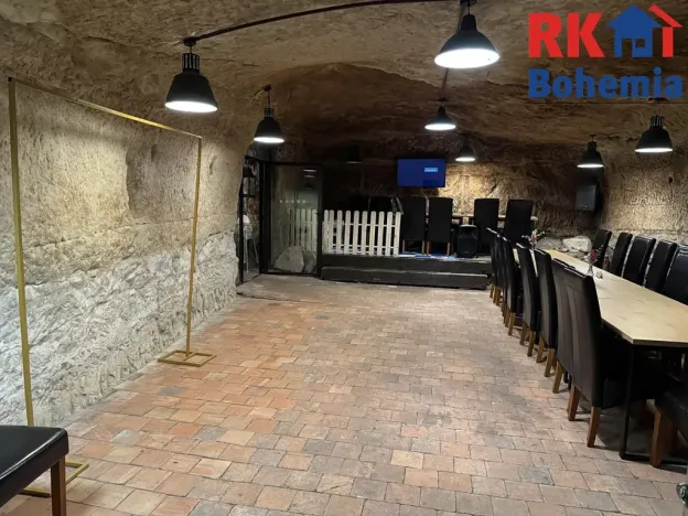 Pronájem restaurace, Mladá Boleslav, Ptácká, 410 m2