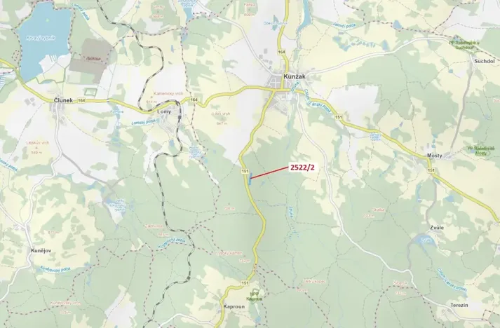 Dražba lesa, Kunžak, 8933 m2