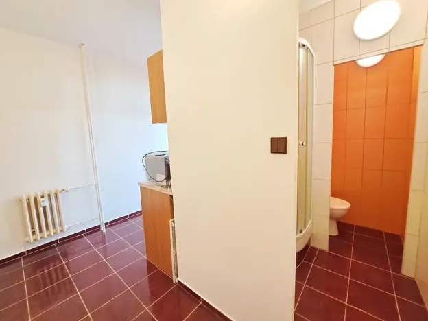 Pronájem bytu 1+kk, Otrokovice, J. Valčíka, 30 m2
