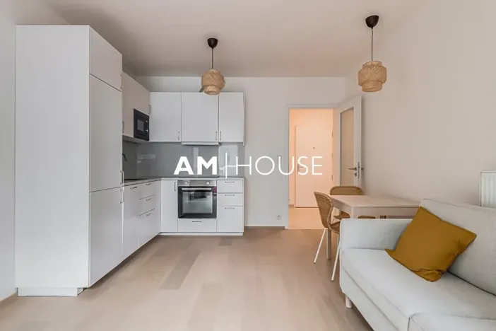 Pronájem bytu 2+kk, Praha - Vysočany, Ivana Hlinky, 60 m2