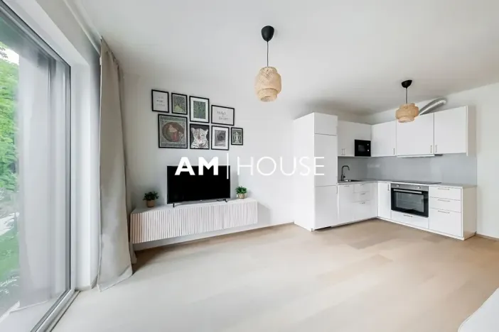 Pronájem bytu 2+kk, Praha - Vysočany, Ivana Hlinky, 60 m2