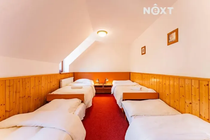 Pronájem ubytování, Horní Město, 250 m2