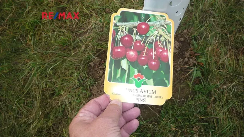 Prodej pozemku pro bydlení, Žebrák, 714 m2