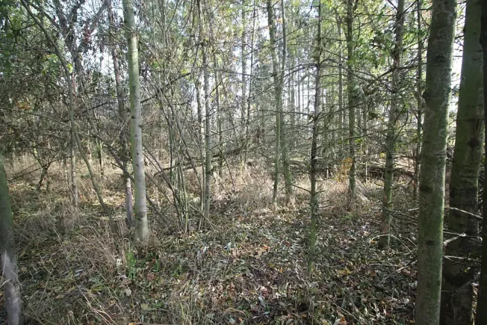 Prodej pozemku, Dolní Břežany, Keltská, 3508 m2