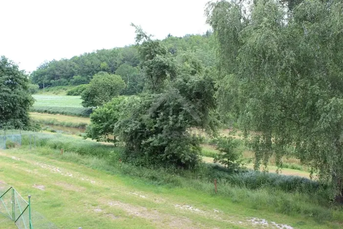 Prodej ubytování, Protivín, Chelčického, 1000 m2