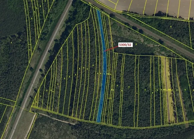 Dražba lesa, Bzenec, 4949 m2