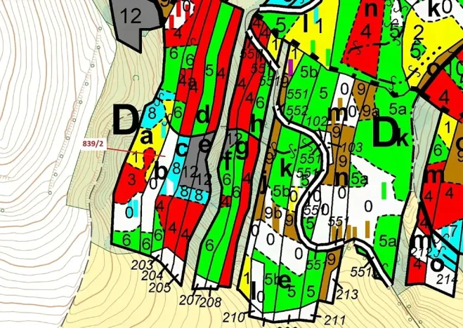 Dražba lesa, Žďárec, 5465 m2