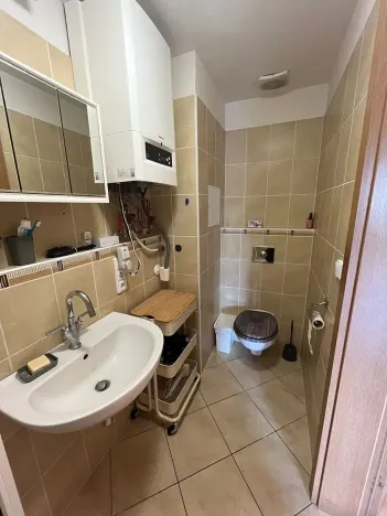 Pronájem bytu 1+kk, Brno, Podveská, 43 m2