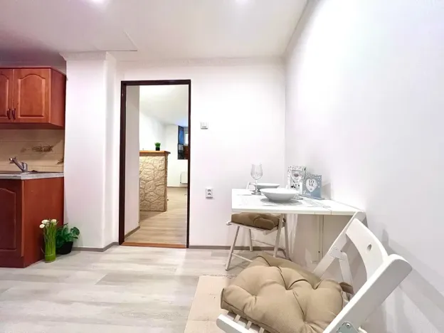 Prodej bytu 1+1, Praha - Žižkov, Biskupcova, 29 m2