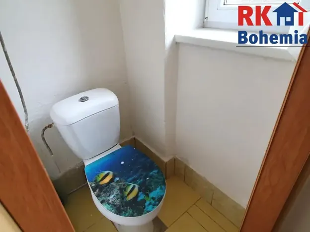 Prodej bytu 2+1, Mladá Boleslav, Sadová, 57 m2