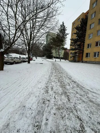 Prodej bytu 3+1, Brno, Švermova, 74 m2