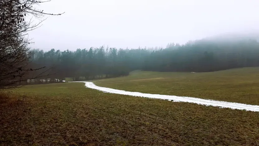 Prodej pozemku pro bydlení, Bohutín, 2926 m2