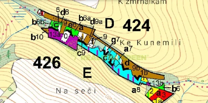 Prodej lesa, Světlá nad Sázavou, 48055 m2