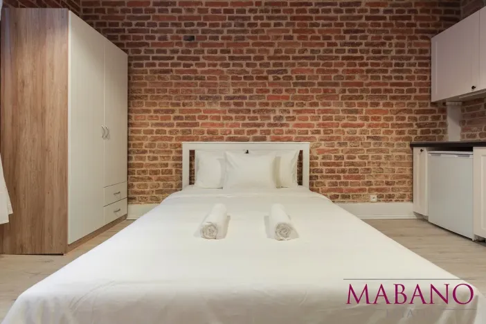 Pronájem bytu 1+kk, Praha - Žižkov, Lucemburská, 24 m2