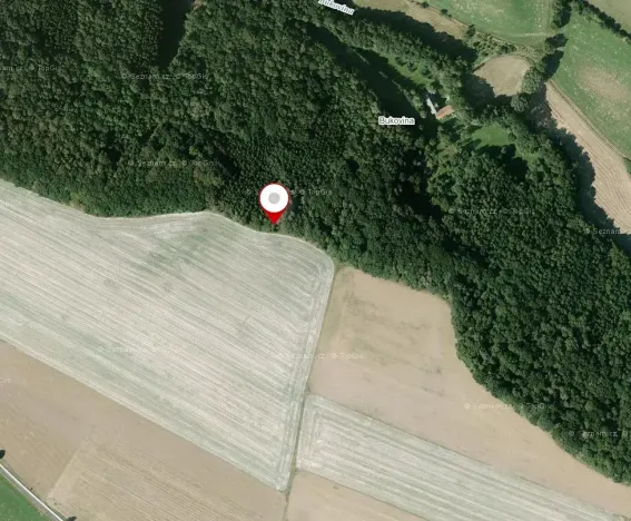 Prodej lesa, Zelenecká Lhota, 1830 m2