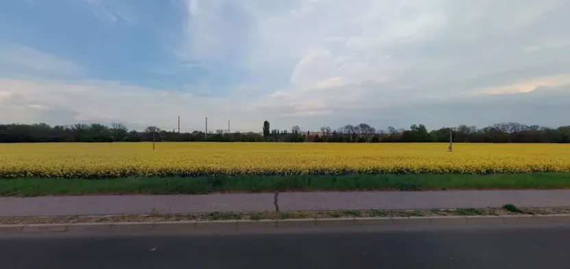 Prodej pole, Štětí, 4190 m2