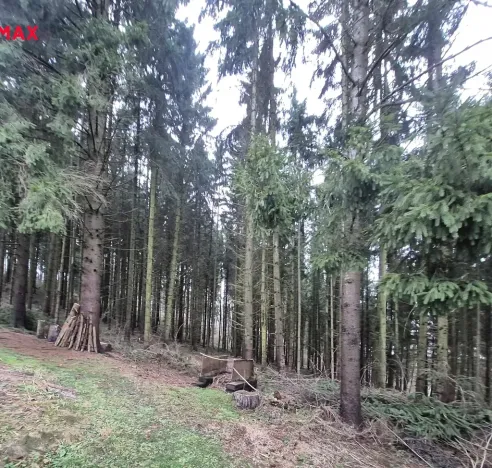 Prodej chaty, Lanškroun, 30 m2