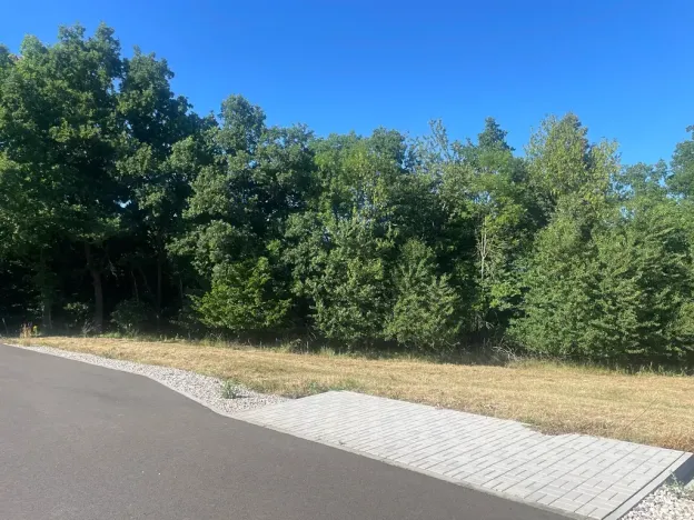 Prodej pozemku pro bydlení, Buš, 1284 m2