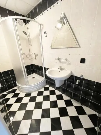 Prodej bytu 2+1, Litvínov, Vinohradská, 55 m2