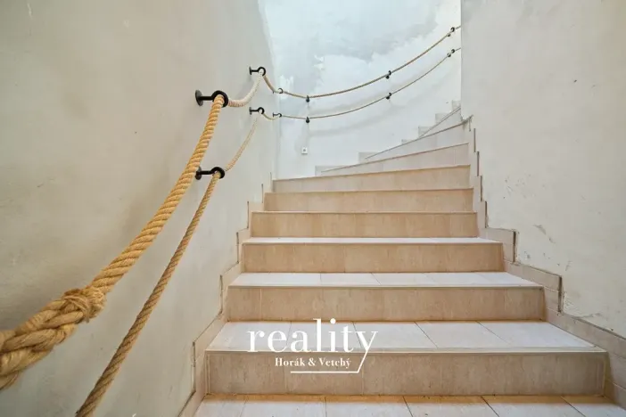 Prodej vícegeneračního domu, Dobšice, Lahoferova, 797 m2