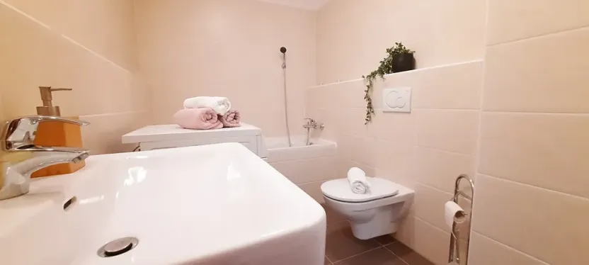 Pronájem bytu 1+kk, Brno, Šemberova, 51 m2