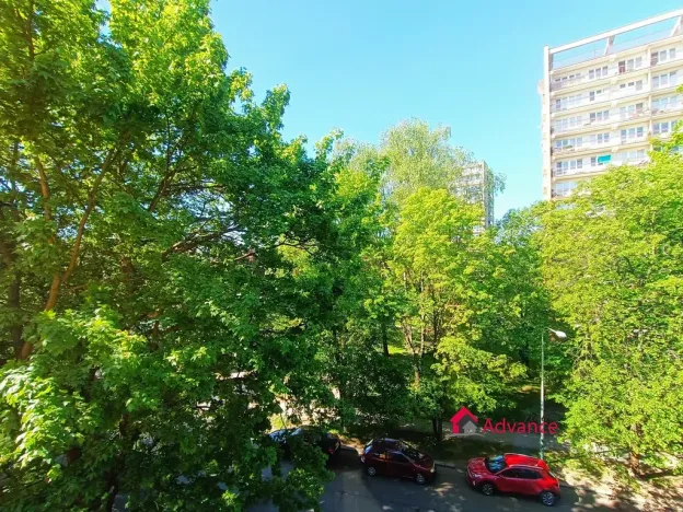 Pronájem bytu 2+1, Ostrava, Krasnoarmejců, 59 m2