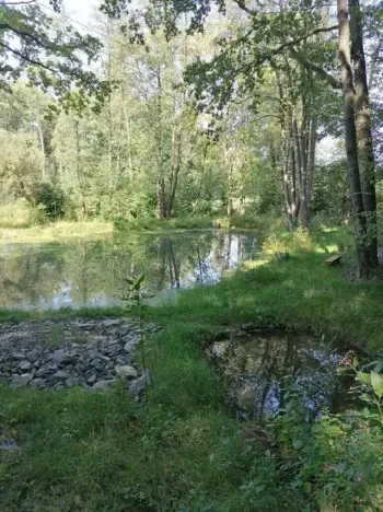 Pronájem chaty, Ostrava, Staroveská, 22 m2