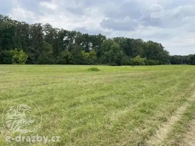 Dražba pole, Oseček, 83999 m2