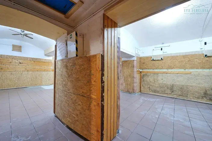 Prodej obchodního prostoru, Plzeň, Nerudova, 134 m2