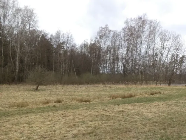 Prodej pozemku, Chlum u Třeboně - Lutová, 6727 m2