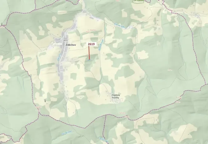 Dražba lesa, Zděchov, 867 m2