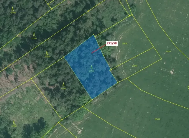 Dražba lesa, Milavče, 2102 m2