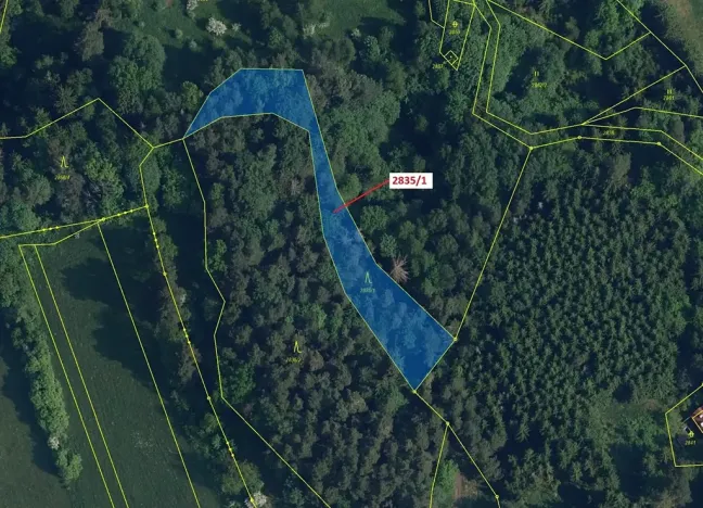 Dražba lesa, Český Dub, 2117 m2