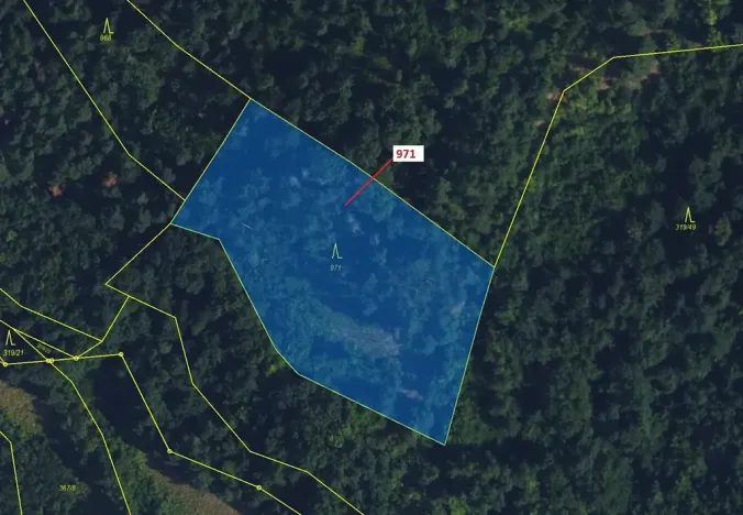 Dražba lesa, Lhota Rapotina, 4308 m2