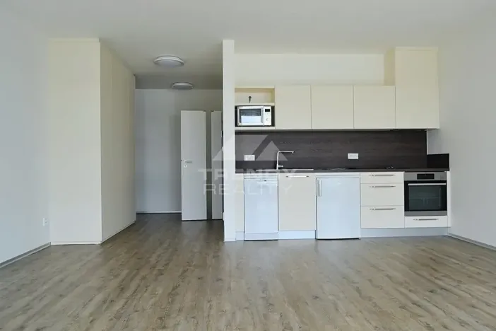 Pronájem bytu 1+kk, Plzeň, Na Roudné, 50 m2