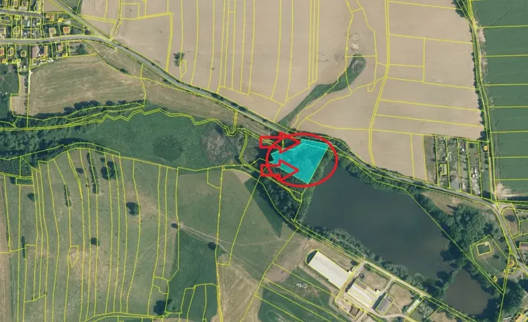 Prodej lesa, Předslav, 6263 m2