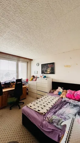 Prodej rodinného domu, Brno, Kupkova, 176 m2